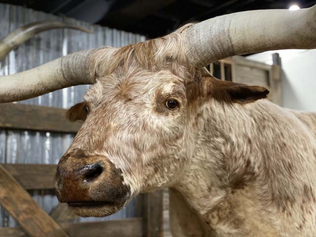 League City, Texas